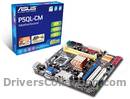 ASUS P5QL-CM